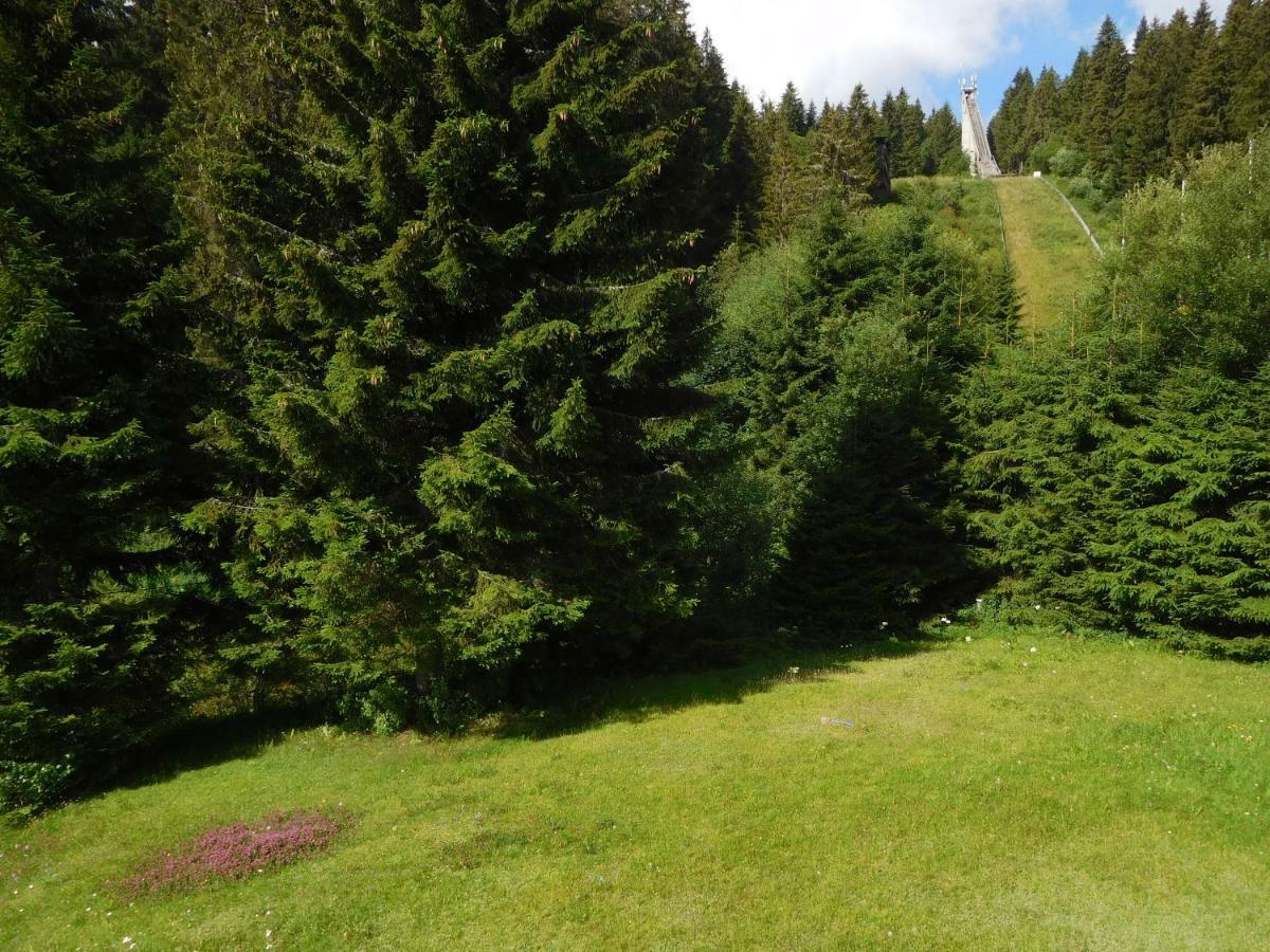 Ferienwohnung Schwarzwaldrauschen Schönwalde Exteriér fotografie