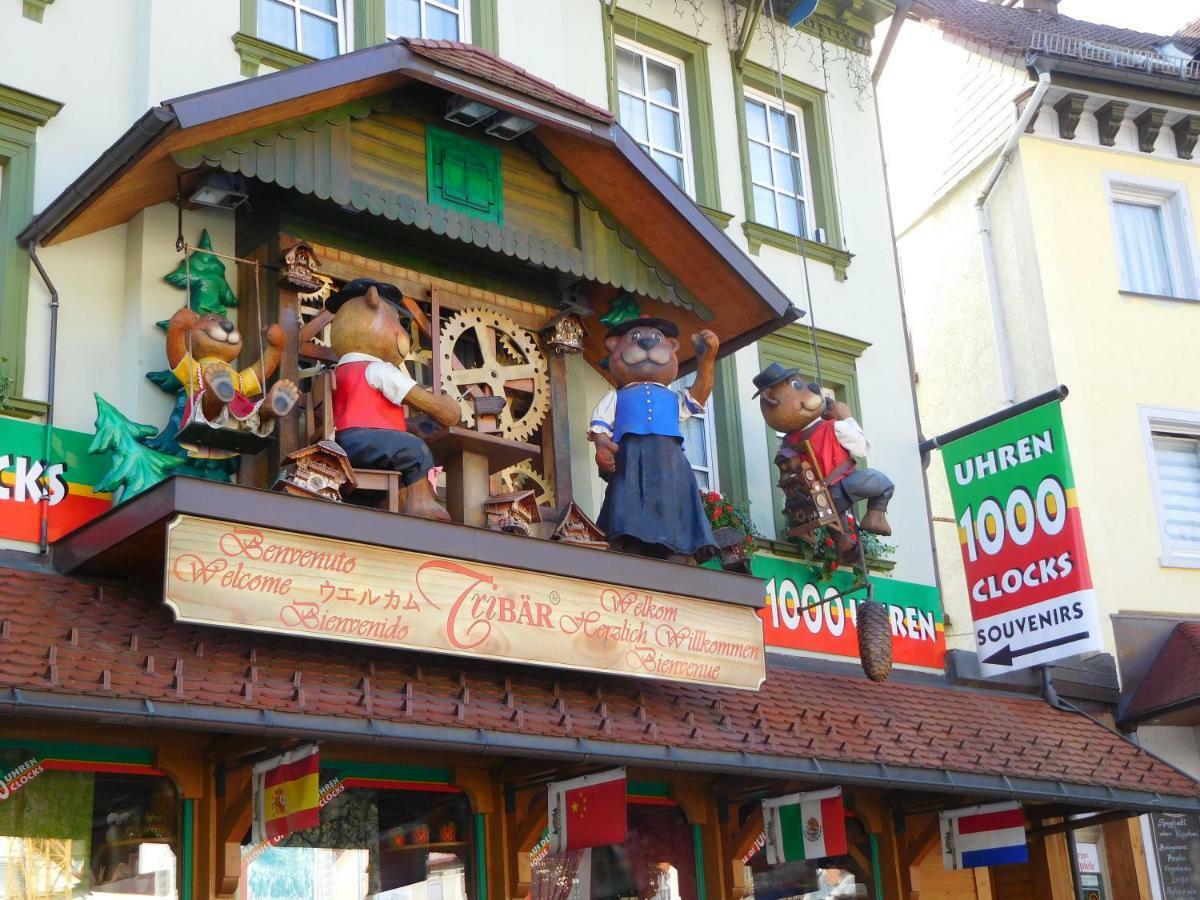Ferienwohnung Schwarzwaldrauschen Schönwalde Exteriér fotografie